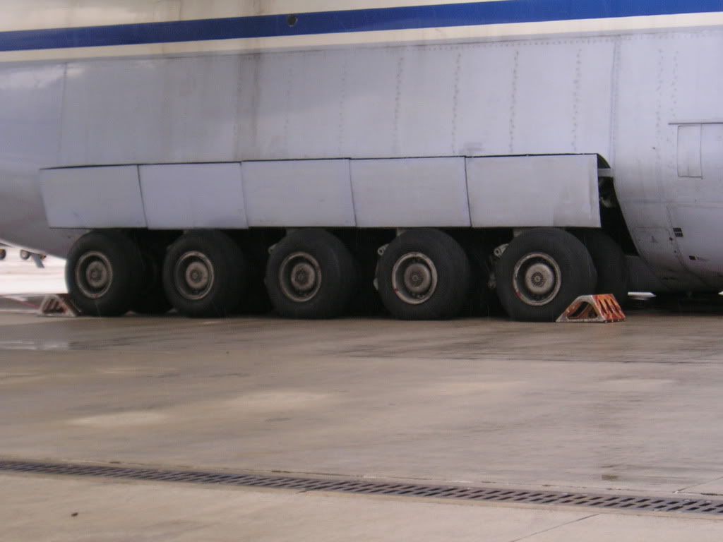 P1010026.jpg