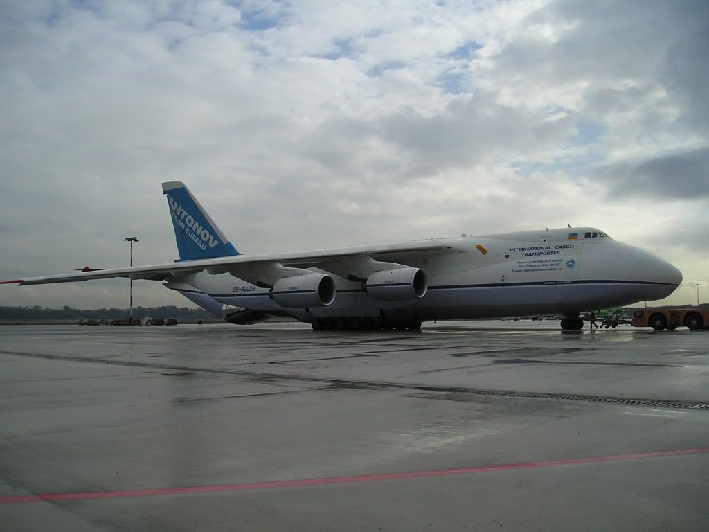 P1010028.jpg