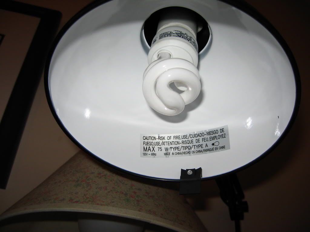10 watt fluorescent bulb