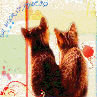 Imagen enviada
