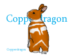 BunnyTagcopperdragon.png