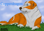 CopperdragonLabTag.png