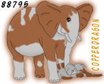 Copperelephant.png