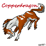 buckinghorse-Copperdragon.gif