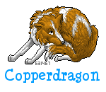 gotmytailcopperdragon.png