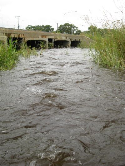 Rising Creeks by Jylan Wynne Rising Creeks by Jylan Wynne