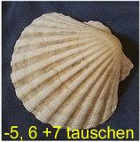 UserImage