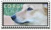 stamp_corgi.jpg