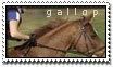 stamp_gallop.jpg