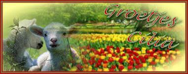 photo lente.jpg