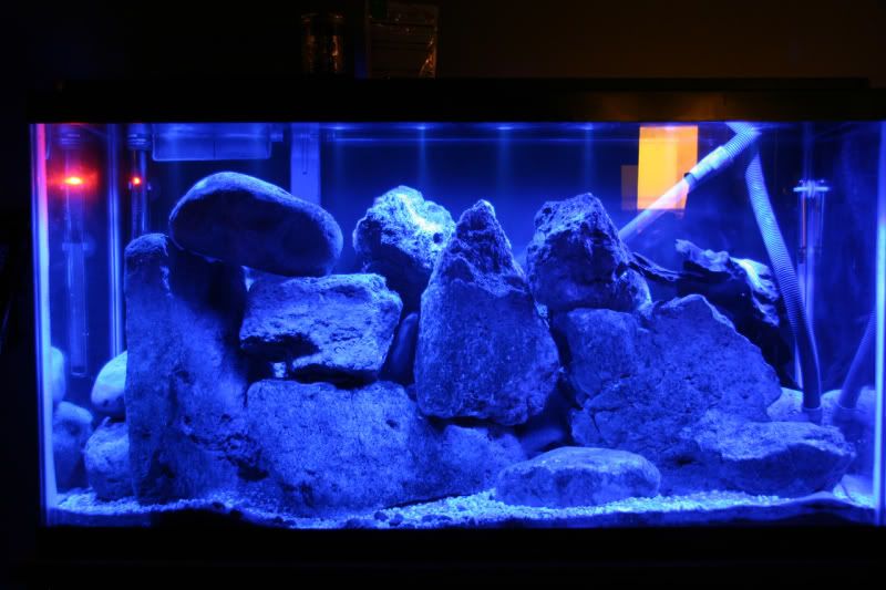 Cichlid-Forum :: View topic - Marineland Double Bright LED's Mounting ?