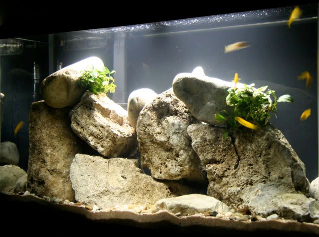 heavy rocks in aquarium