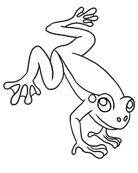 Red Eyed Tree Frog Coloring Red Eyed Tree Frog Coloring