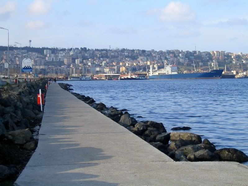 samsun14.jpg
