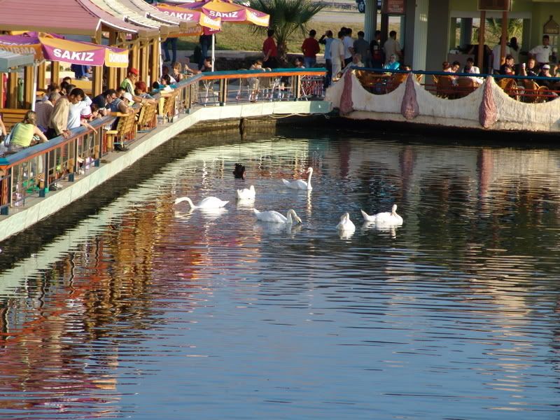 samsun6.jpg