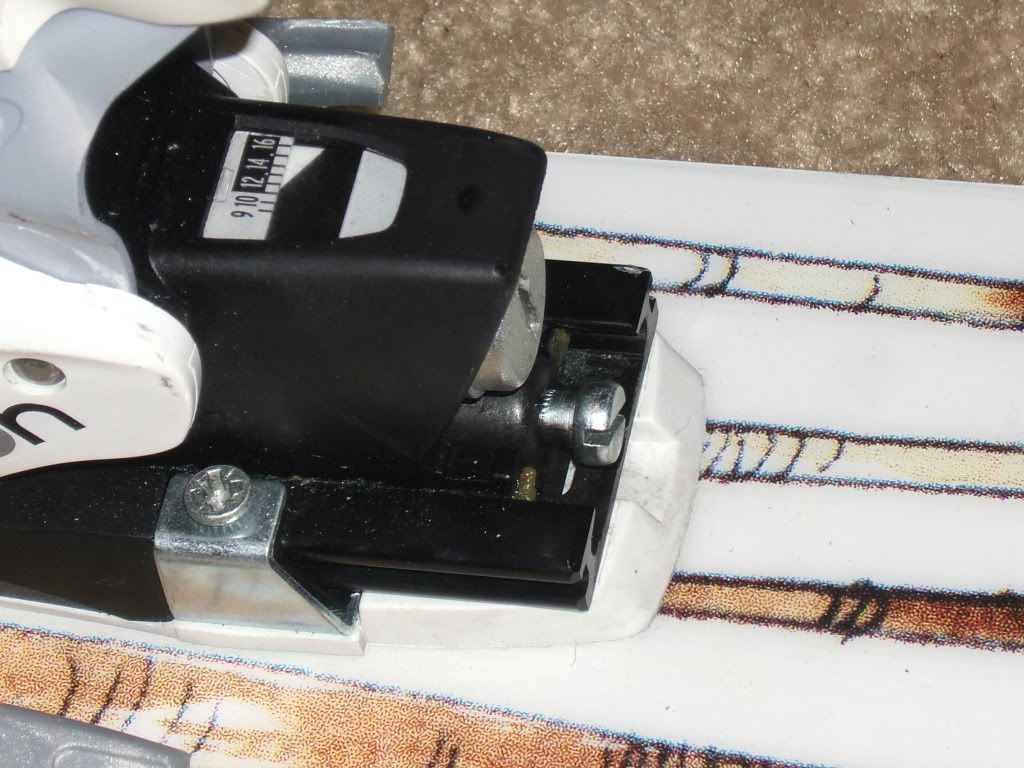 DSCF3491.jpg
