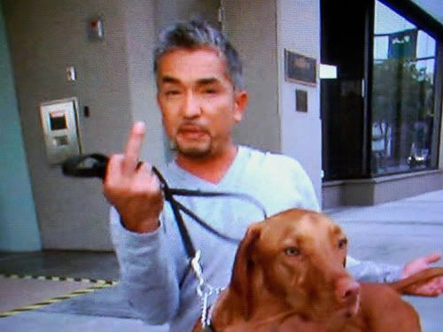 cesar-millan.jpg