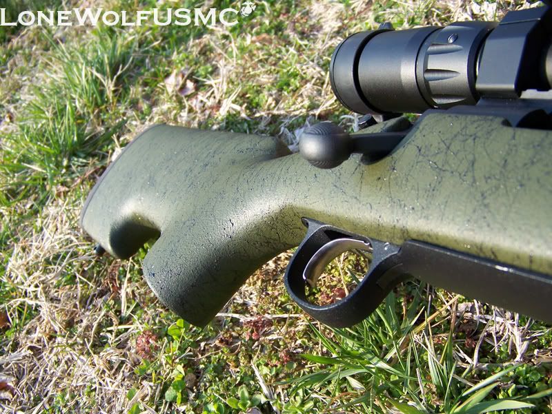 SPSV_1255.jpg