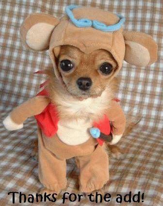 Visit www.giftcomment.com to send this to your friends.