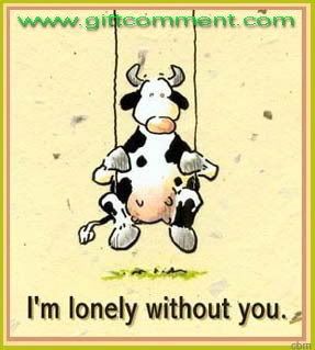 Visit www.giftcomment.com to send this to your friends.