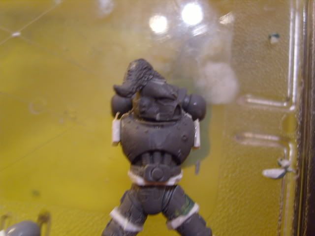 Posted Image