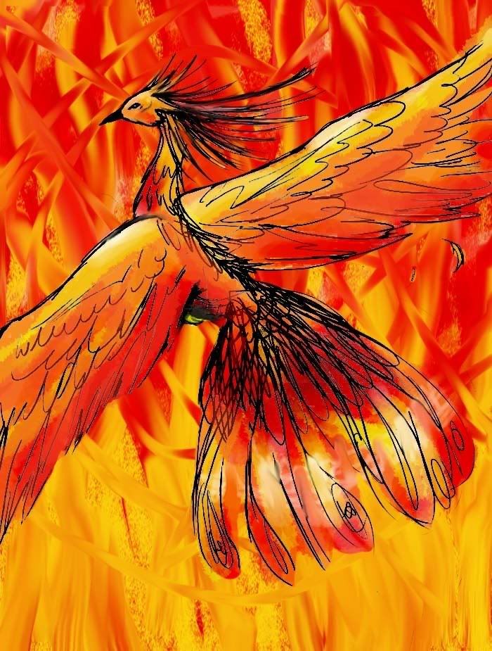 Obrázok “http://i257.photobucket.com/albums/hh237/Ariisinn_Lockheart/Anime/Fire_Bird_COlor_style.jpg” sa nedá zobraziť, pretože obsahuje chyby.