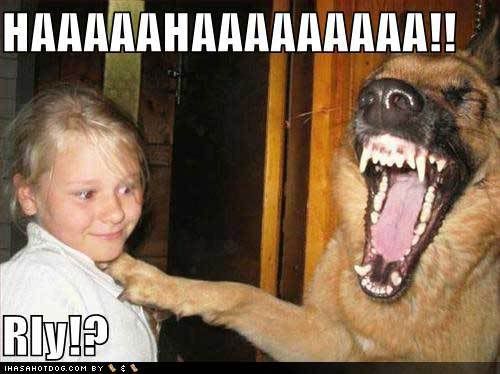 funny-dog-pictures-laughing-at-litt.jpg