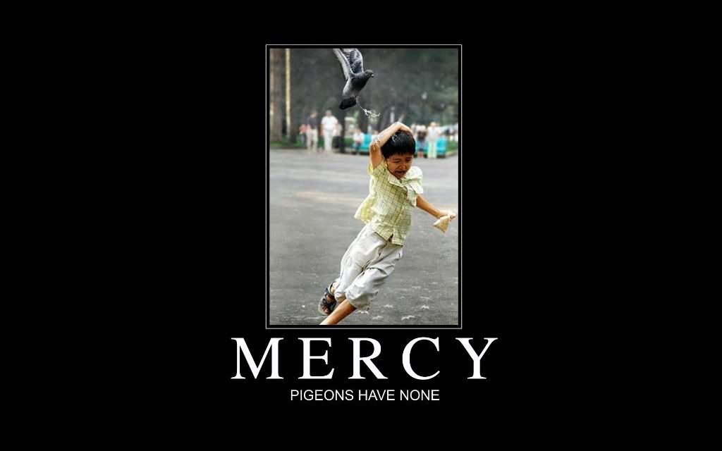 Mercy.jpg
