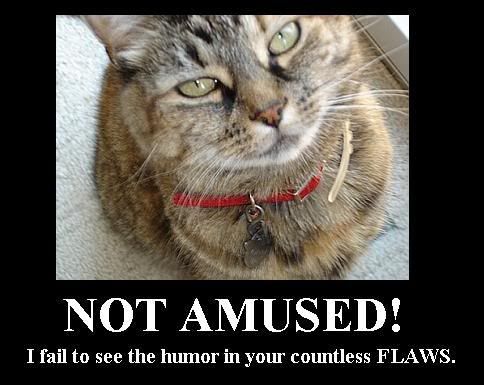 notamused.jpg