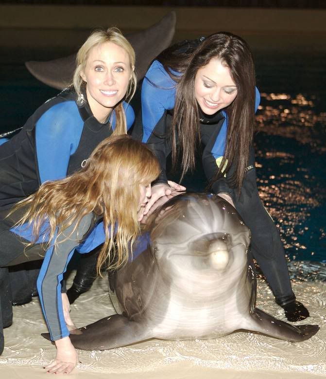 miley-cyrus_COM-2008jan30-dolphi-2.jpg 003 image by Miley_Net