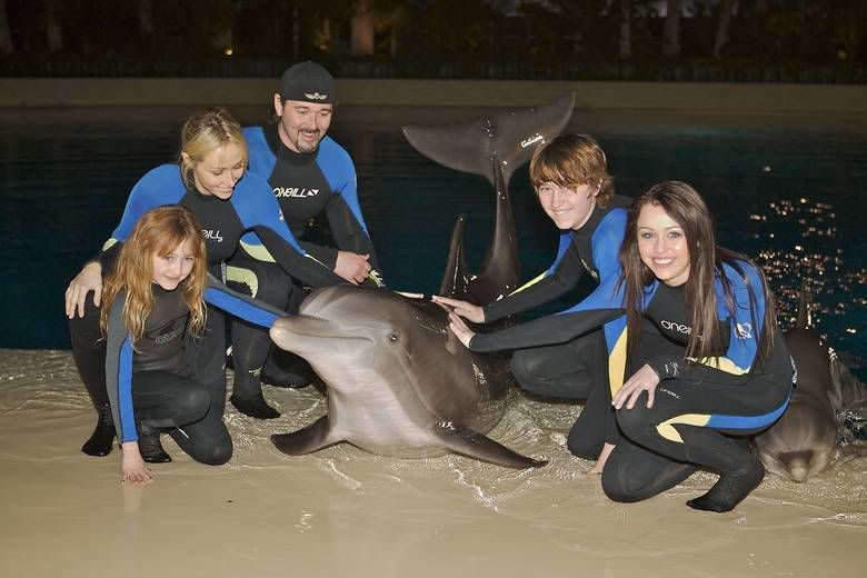 miley-cyrus_COM-2008jan30-dolphins-.jpg 001 image by Miley_Net