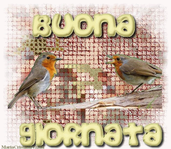 BuonaGiornataUccellini.gif Buona Giornata Uccellini image by Psyke_album
