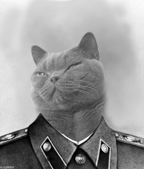 [Image: stalincatawesomeness.jpg]