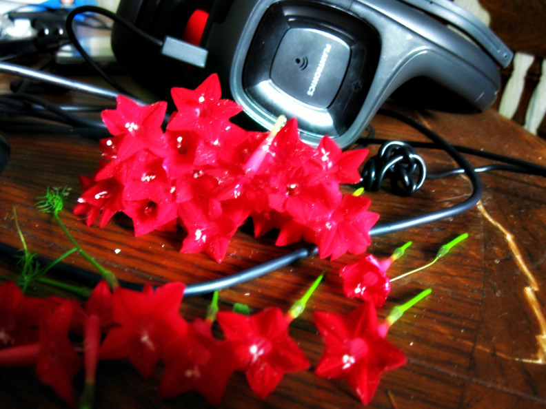 Forum Image: http://i257.photobucket.com/albums/hh239/embeddedinillusion/stars.png