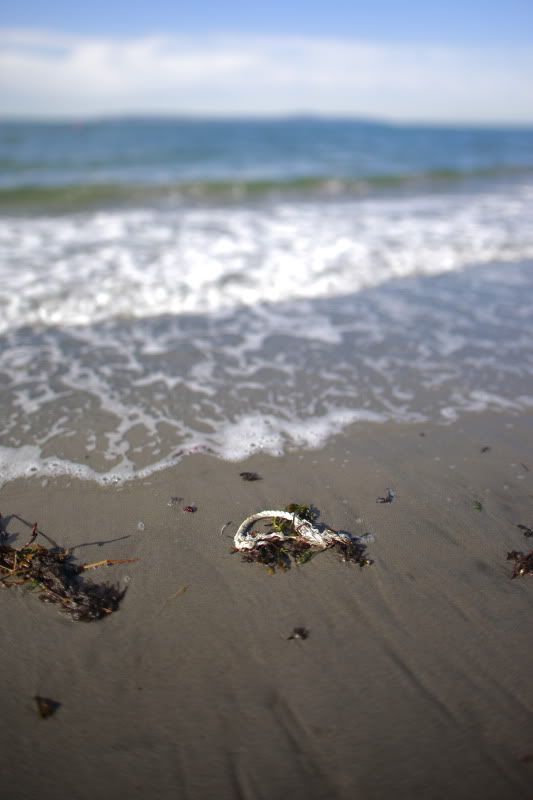 IMAGE: http://i257.photobucket.com/albums/hh239/kawi_200/Cities%20and%20Skylines/_MG_0453.jpg