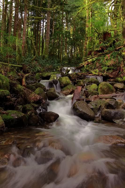 IMAGE: http://i257.photobucket.com/albums/hh239/kawi_200/Cities%20and%20Skylines/_MG_1110.jpg