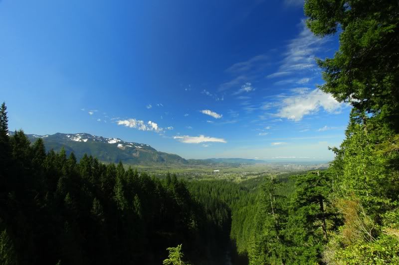 IMAGE: http://i257.photobucket.com/albums/hh239/kawi_200/Cities%20and%20Skylines/_MG_1160.jpg