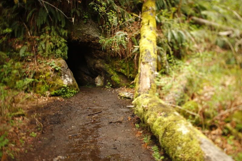 IMAGE: http://i257.photobucket.com/albums/hh239/kawi_200/Cities%20and%20Skylines/_MG_1277.jpg