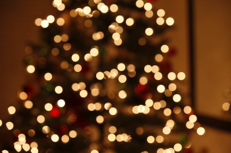 IMAGE: http://i257.photobucket.com/albums/hh239/kawi_200/Photo%20Help/_MG_9295.jpg