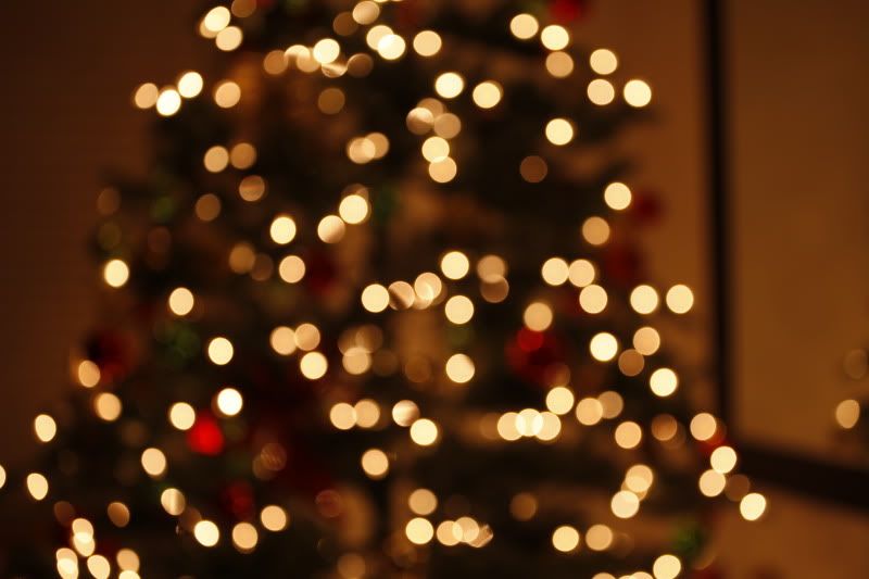 IMAGE: http://i257.photobucket.com/albums/hh239/kawi_200/Photo%20Help/_MG_9296.jpg