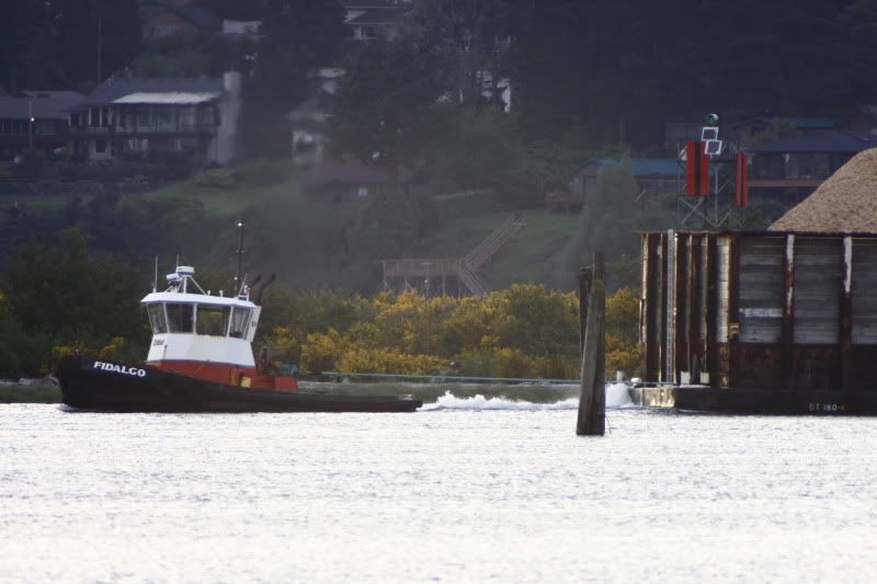 IMAGE: http://i257.photobucket.com/albums/hh239/kawi_200/_MG_1585.jpg