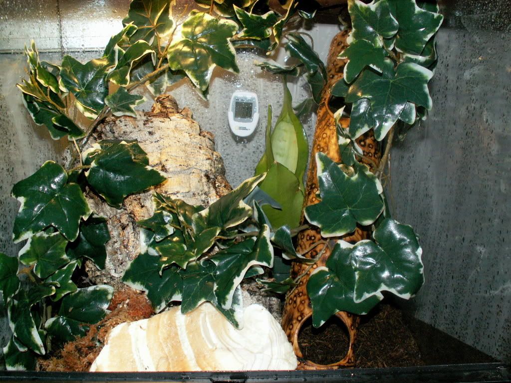 GehraEnclosure-CloseUp.jpg