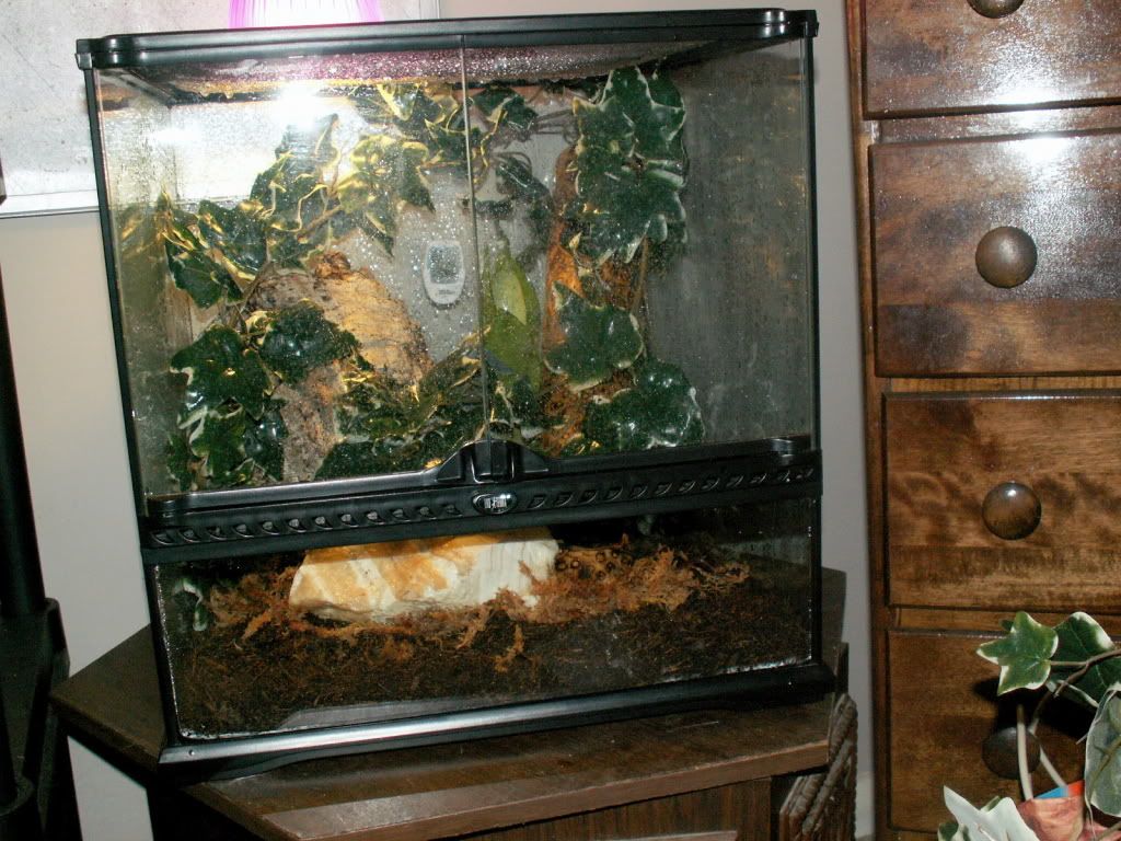 GehyraEnclosure.jpg