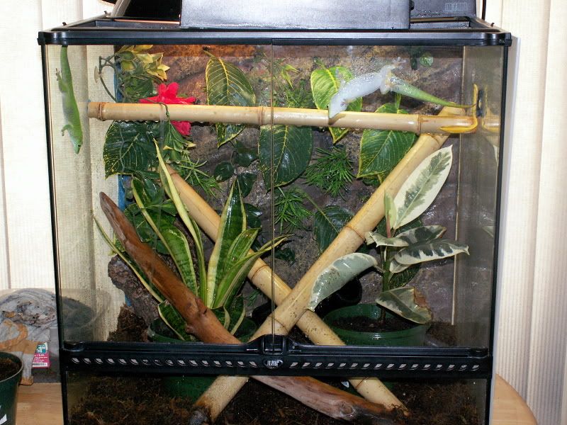 NewEnclosure.jpg