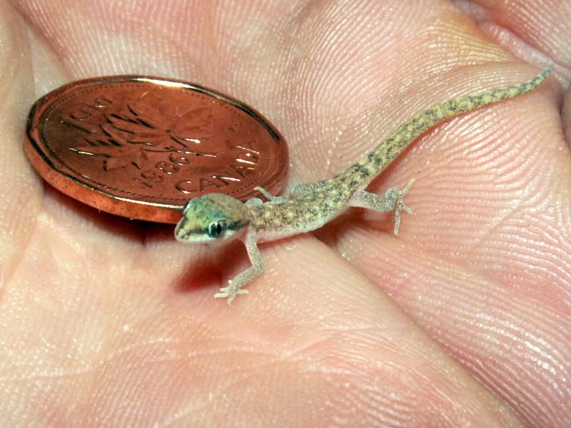 Baby-Pic3.jpg