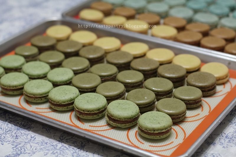 photo Green Tea 6_zpswe8hyko8.jpg