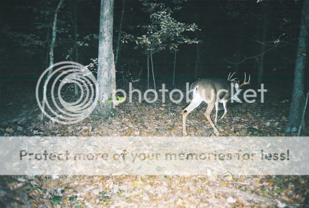 Another Rowan Co Buck Kentucky Hunting