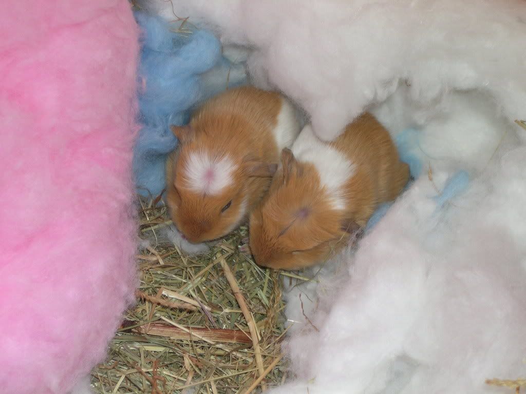 DSCN1603.jpg