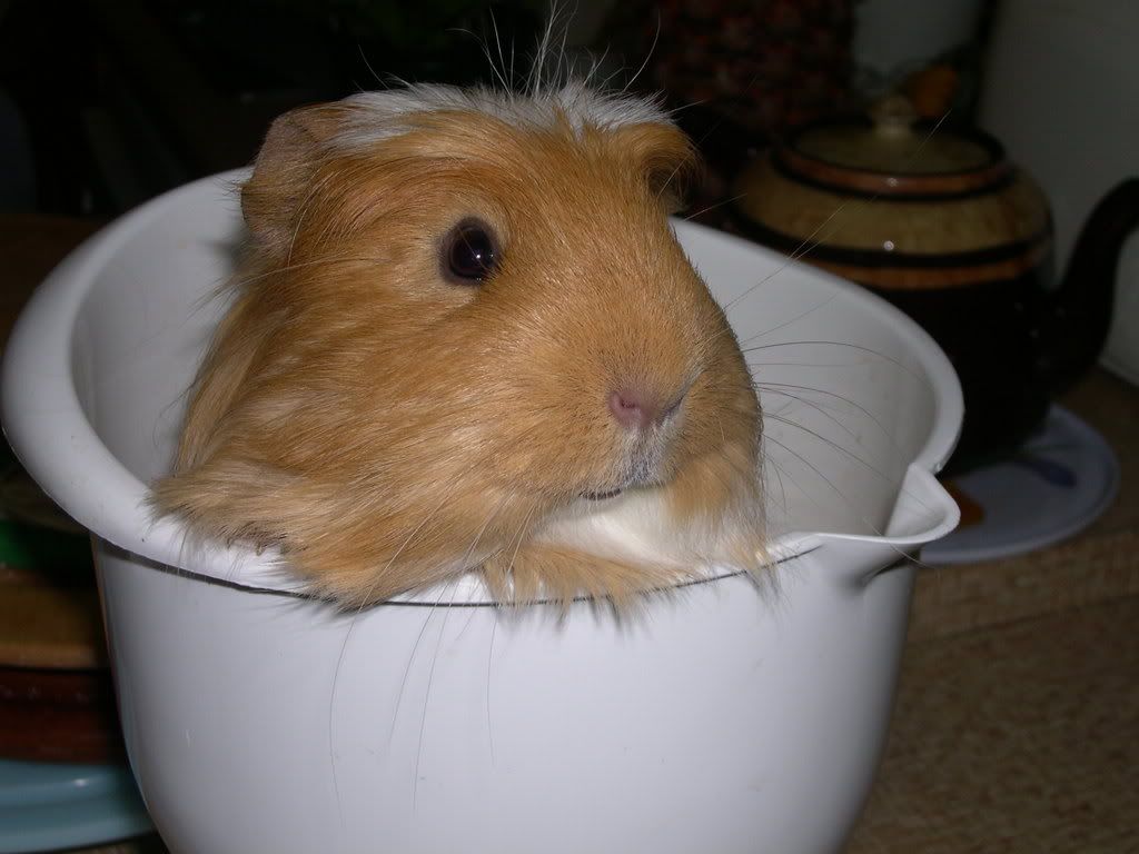 DSCN2214.jpg