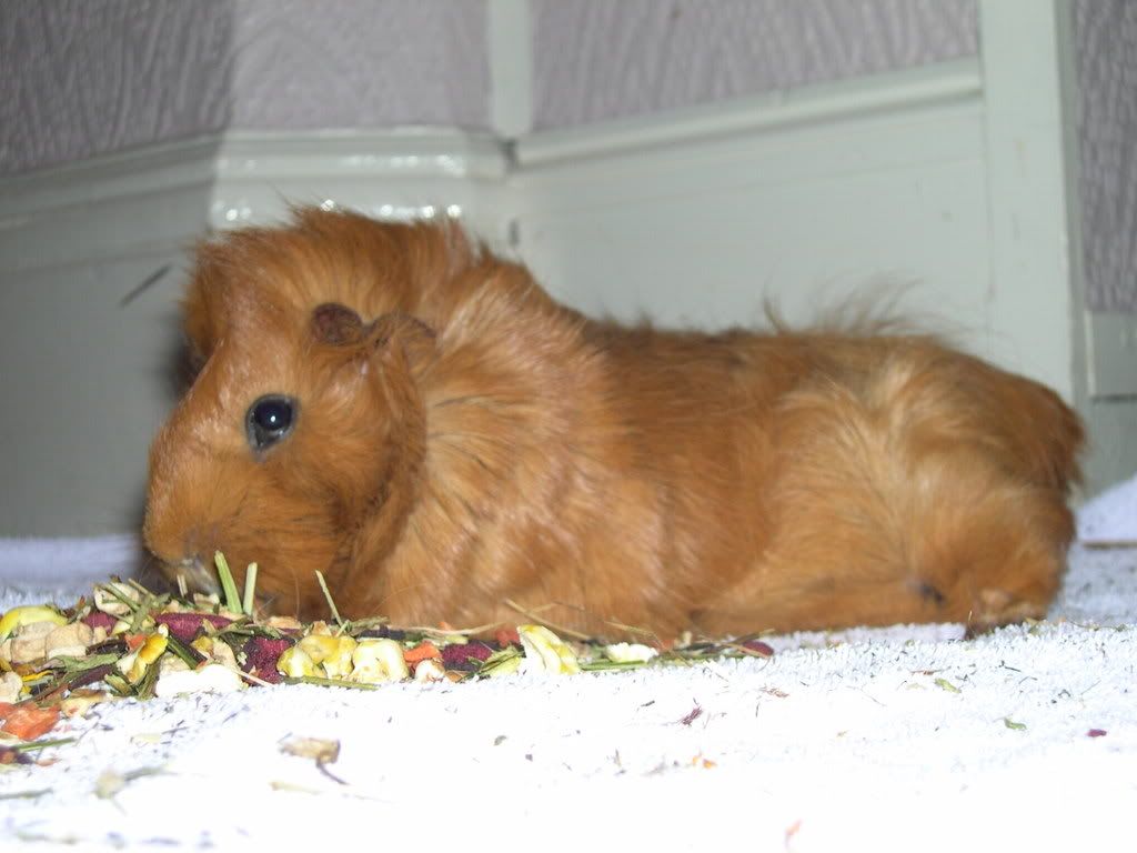 DSCN2261.jpg